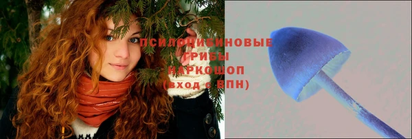 экстази Алексин