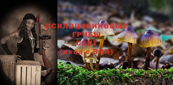гашик Алексеевка