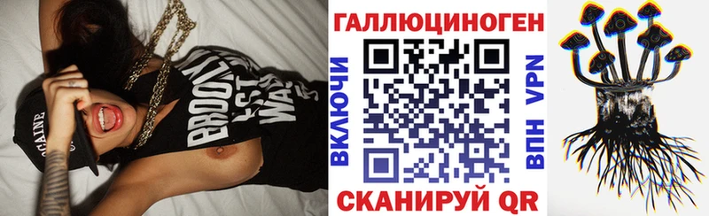 гидра ссылки Томск Галлюциногенные грибы Psilocybe