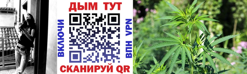 Марихуана индика  где найти   Томск 